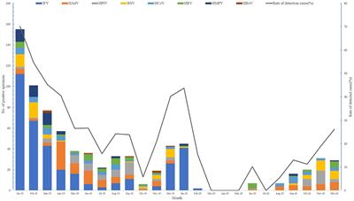 Impact of the COVID-19 pandemic on the prevalence of respiratory viral pathogens in patients with acute respiratory infection in Shanghai, China
